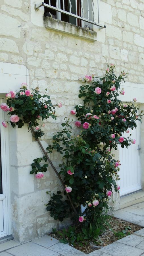 Moulin De Reigner Bed & Breakfast Anché Exterior foto